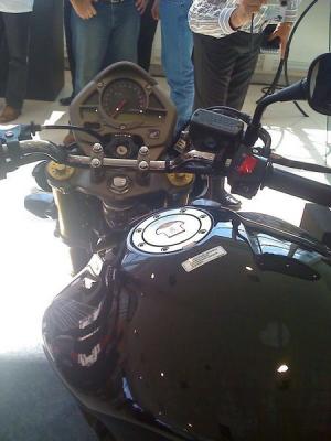 Hornet 2008